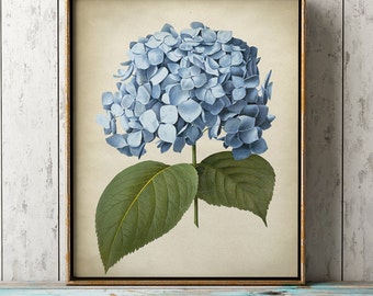 Hydrangea Wall Art hydrangea print | etsy Hydrangea Wall Art hydrangea print | etsy