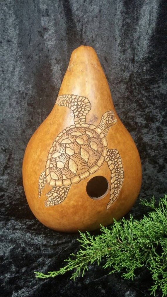 Gourd Birdhouse with Sea Turtle Design