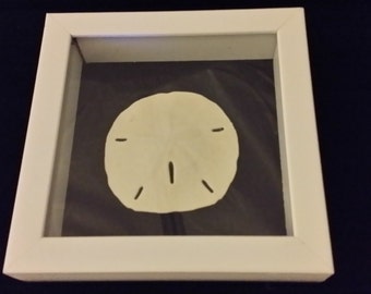 Unique round shadow box related items | Etsy