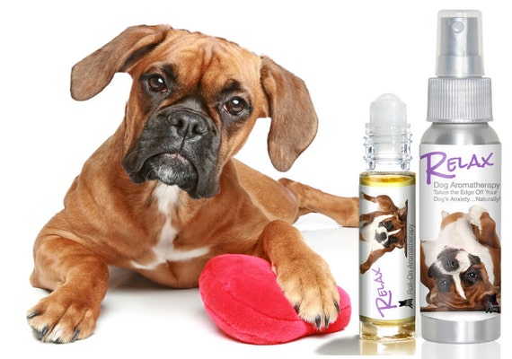 Boxer RELAX Dog Aromatherapy Roll-On or Spray for Thunderstorm