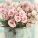 Elizabeth Picarel