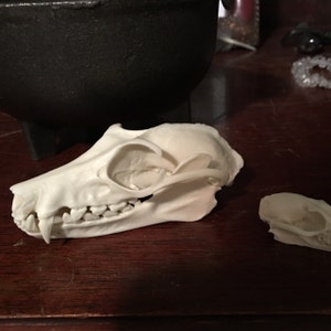 Buyer photo Neko Kitsune, who reviewed this item with the Etsy app for iPhone.
