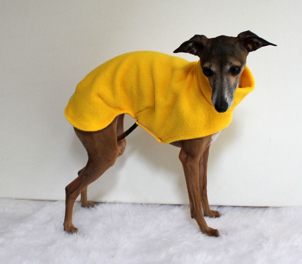 Italian Greyhound Dog Pullover Sweater Coat Various by Shadedmoon