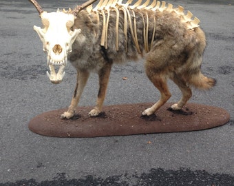 Custom Made Taxidermy Mount Listing
