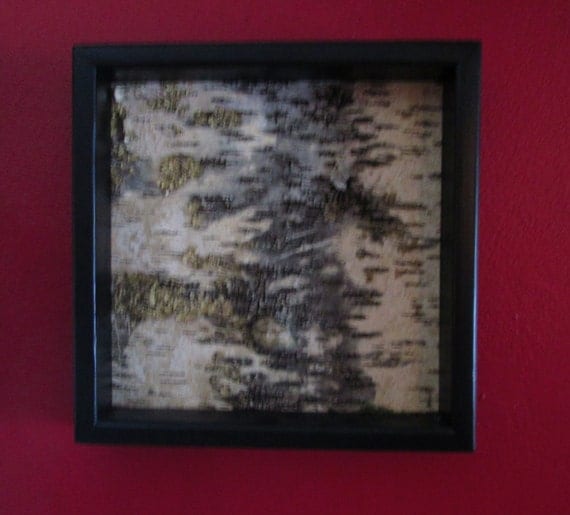 Framed Birch Bark Wall Art Decor Urban Rustic Urban