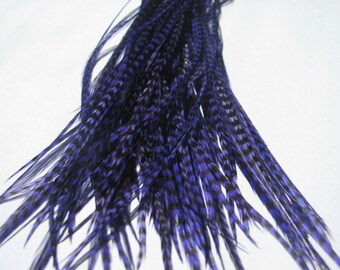 100 - 7 Inch Metz Grizzly Rooster Feathers - Dyed Purple
