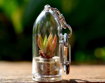 Scarlet Dragon Terrarium Keychain / Succulent Plant / For Her Keychain / For Him Keychain / Boyfriend Gift