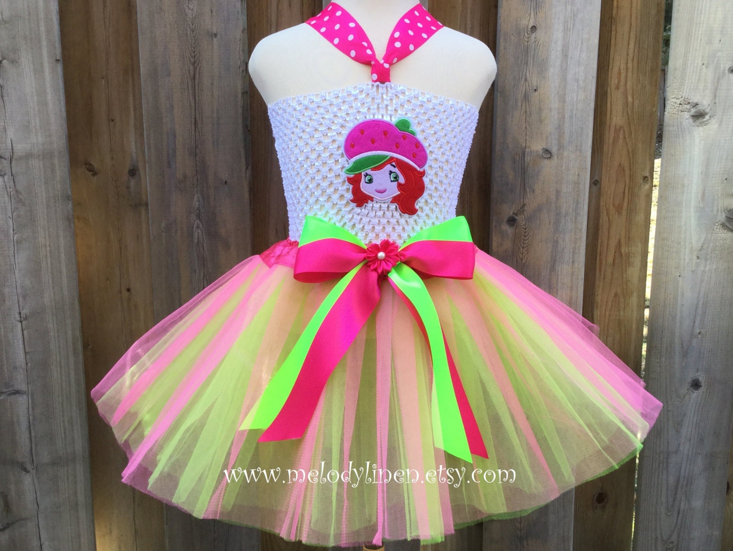 NEWstrawberry shortcake dress strawberry shortcake birthday