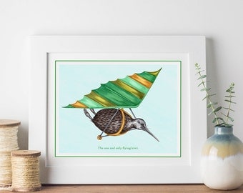 Flying kiwi bird print, hang-gliding kiwi bird print, 5 x 7, 8 x 10 and 11 x 14