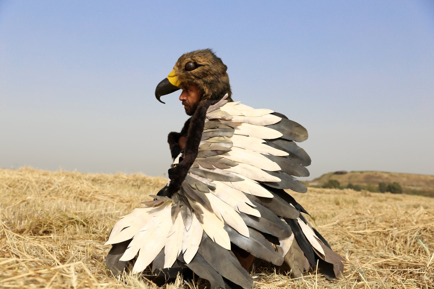 eagle costume