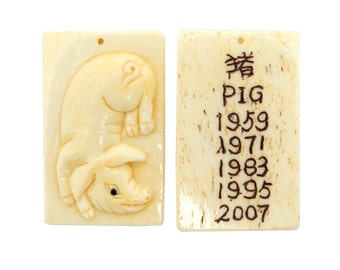 chinese astrology dragon year of the pig