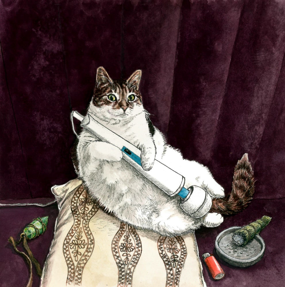 The Lesbian Sex Haiku Book with Cats: Hitachi Magic Witch