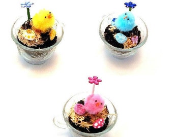 Easter Tea Cup Fairy Garden / Desktop Terrarium / Miniature Zen Garden in Vintage style Tea Cup / Select your Chick color