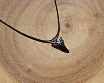 Shark tooth jewelry | Etsy
