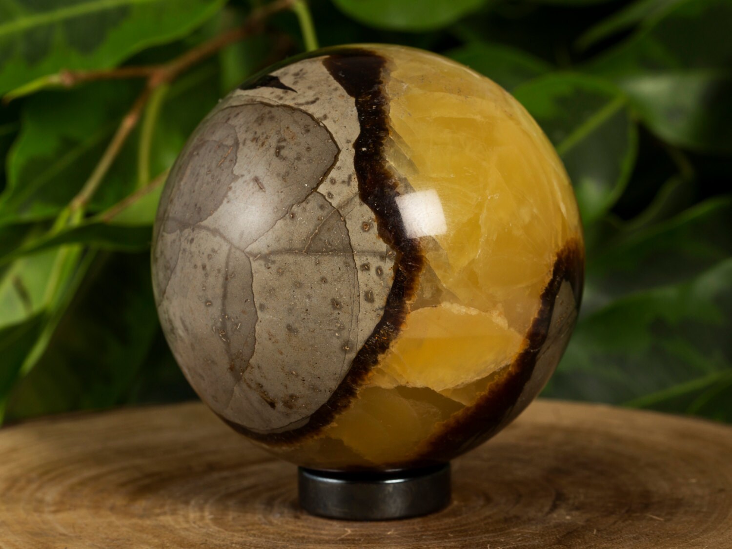 Septarian Dragon Stone / Golden Calcite SPHERE by PACIFICMINERALS