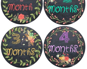 Baby Month Stickers Bodysuit Monthly Stickers Milestone Stickers Monthly Baby Stickers Photo Sticker Month by Month Baby Sticker Shower Gift
