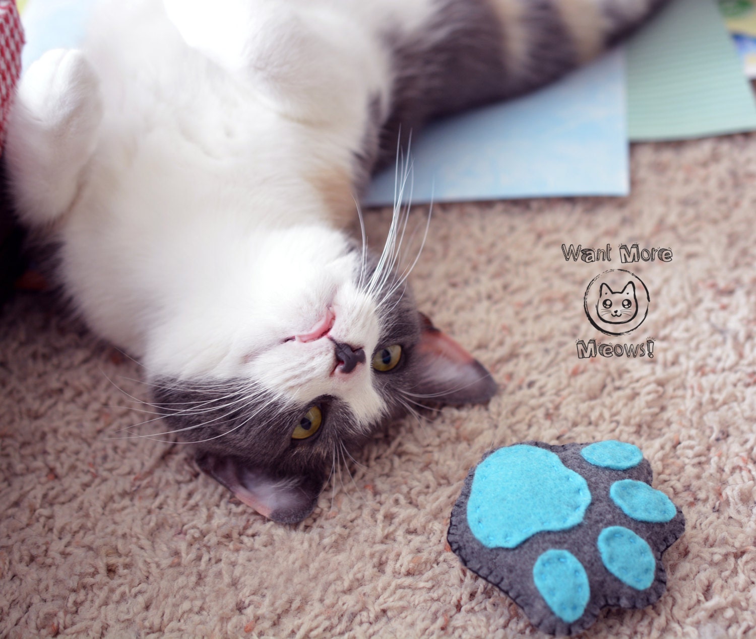 Felt catnip toy Cat toys Organic catnip toy Natural cat