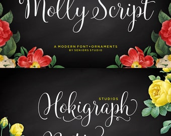 Molly Script Font, Modern Script Font, Handwritten Font, Calligraphy Font, Fancy Font, Modern Calligraphy Font, Digital Font Download