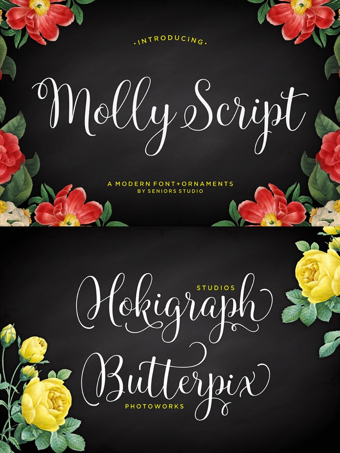 Molly Script Font Modern Script Font Handwritten Font