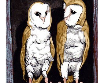 duo owl
