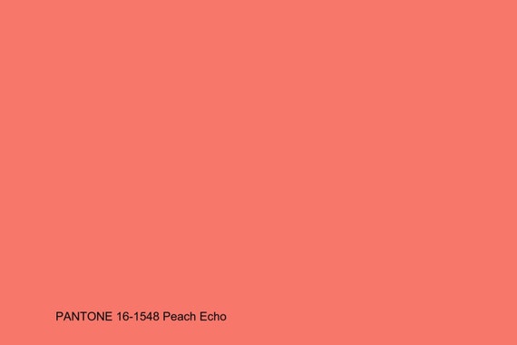 Resultado de imagen para peach echo pantone
