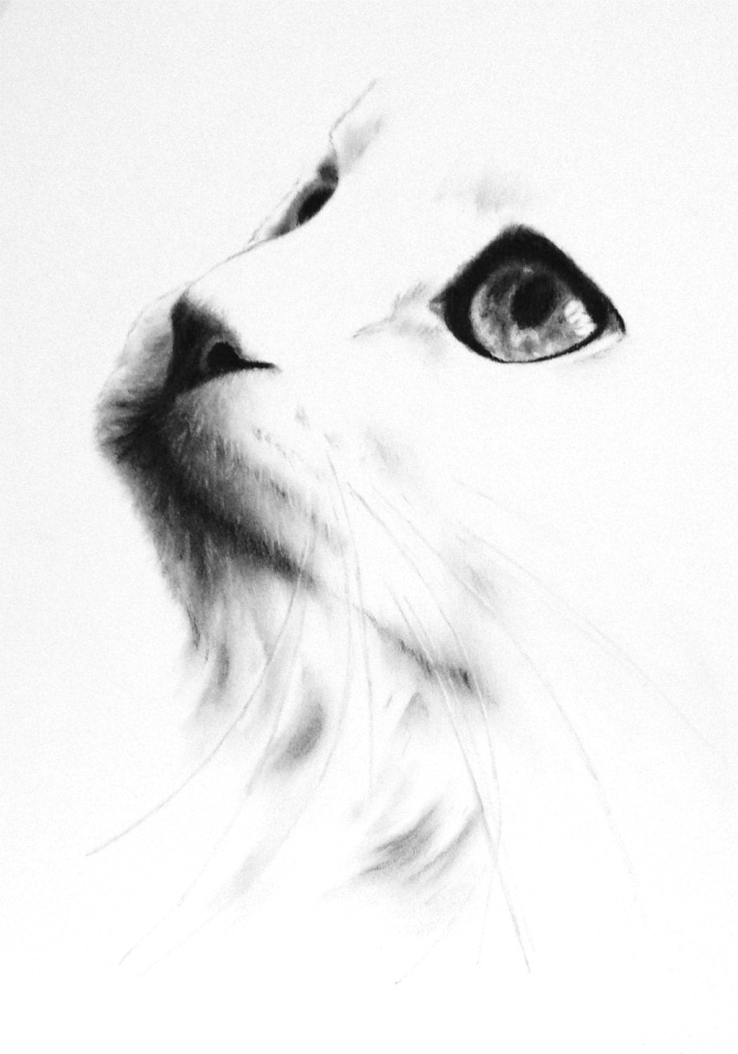 Белый кот рисунок карандашом. Наброски белой кошки карандашом. Белая кошка карандашный набросок. Кот карандаш набросок профиль. Белые нарисованные картинки