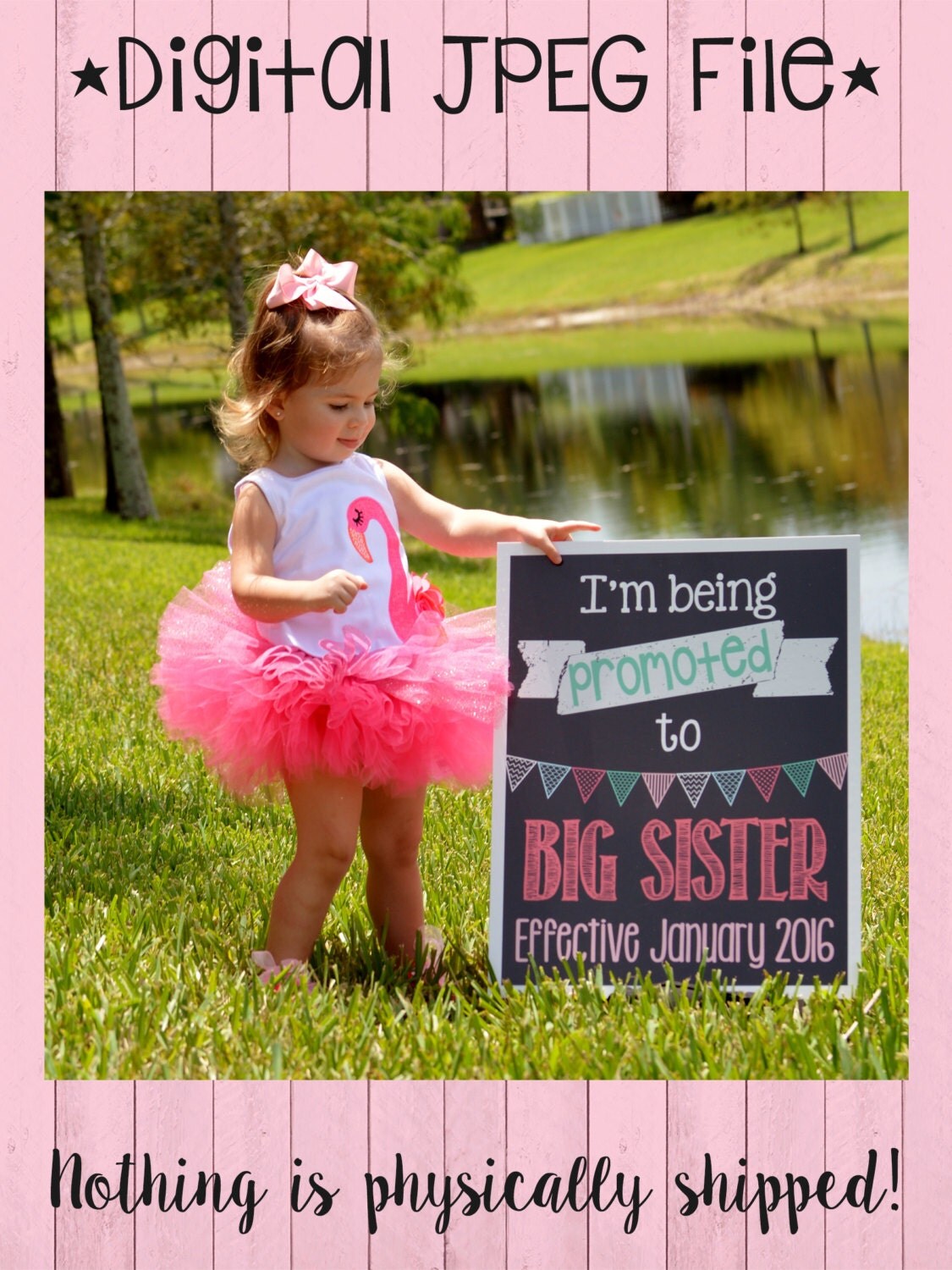 Download Big Sister Pregnancy Announcement I'm Being Promoted to
