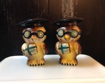 Wise old owl salt and pepper shakers