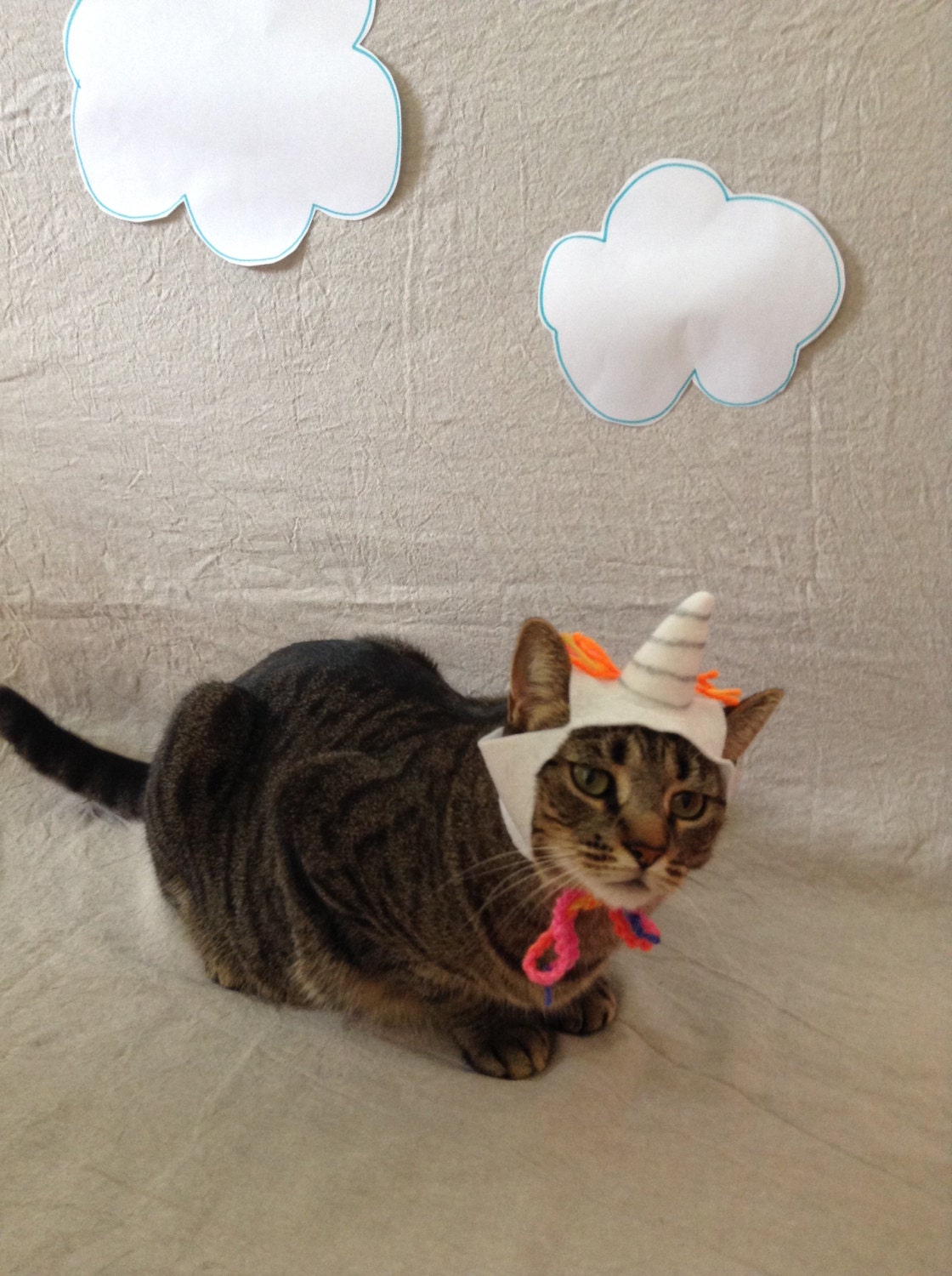 cat unicorn hat