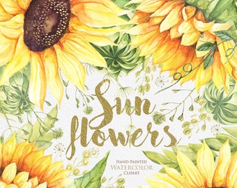 Sunflower Watercolor Flower clipart, Separate elements, Hand painted, DIY Clip Art, Summer Herb, floral invitation, greeting card, PNG files