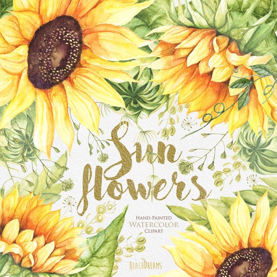 Free Free 179 Watercolor Sunflower Clipart Free SVG PNG EPS DXF File