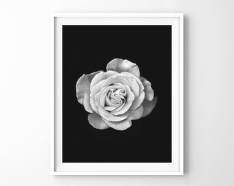 Rose, flower, floral, botanical print, scandinavian wall art, minimalist black and white, affiche scandinave, rose print, nordic art design
