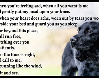 Cocker Spaniel Dog Memorial magnetic sympathy card Rainbow Bridge Gift