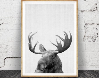 Moose Print, Forest Woodlands Animal Wall Art, Nursery Printable, Gender Neutral, Children's Gift, Black White Kids Room Decor, Wilderness