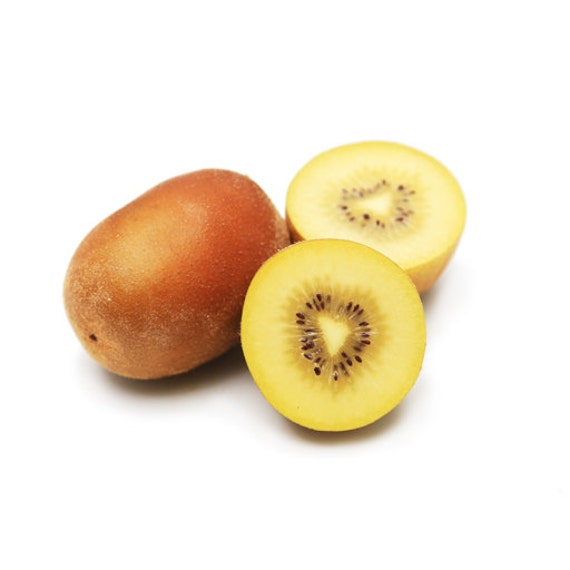 Golden Yellow Kiwi Kiwifruit Chinese Gooseberry Actinidia