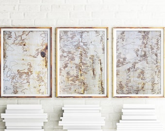 Scribbly Bark Prints, Bark Print, Set Of 3, Prints, Botanical Wall Art, Gum Tree Prints, Wall Art, Botanical Art, Eucalyptus Tree Art,Brown