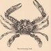 vintagecrab
