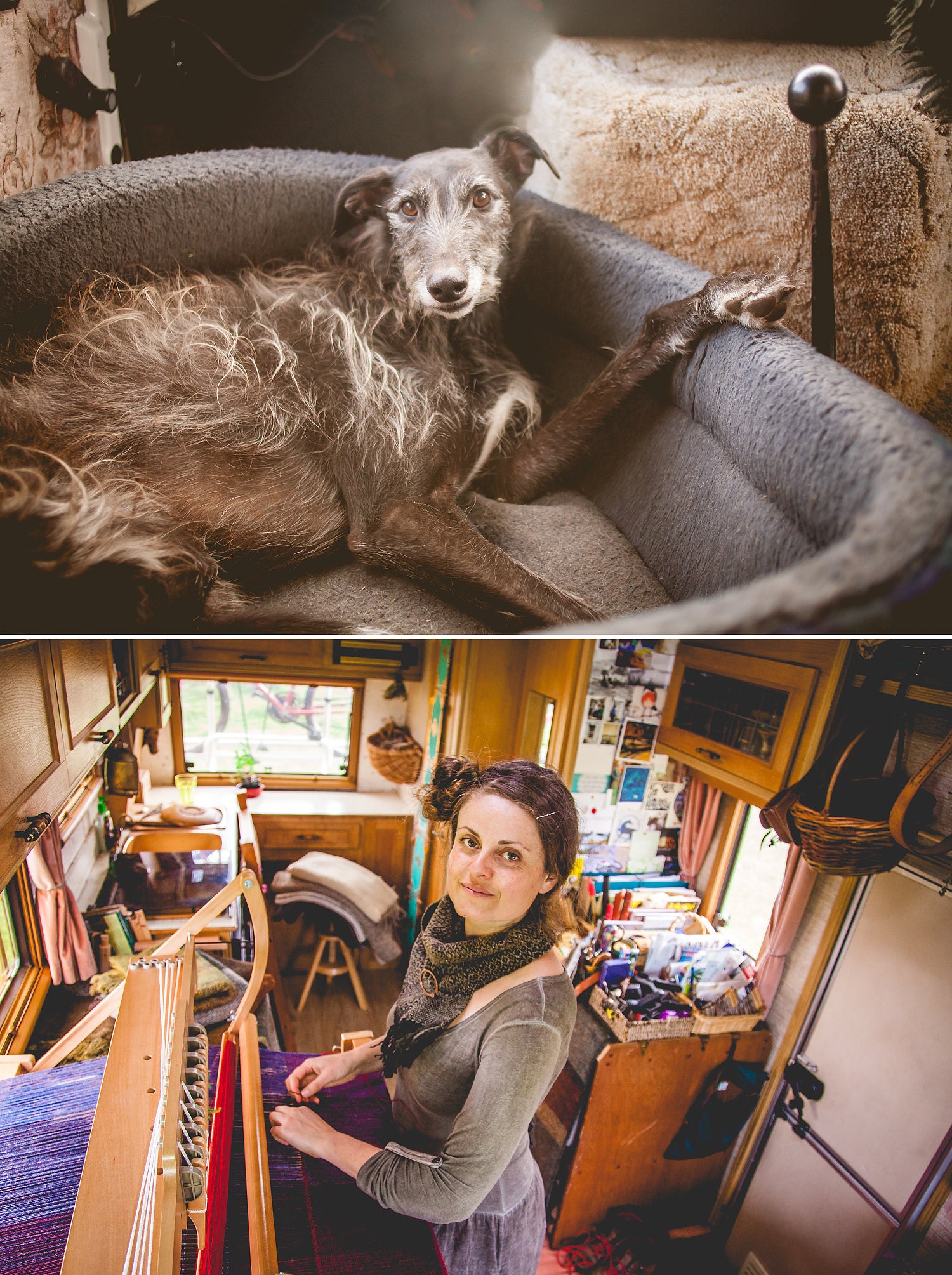 Lurcher hound and tiny weaving studio