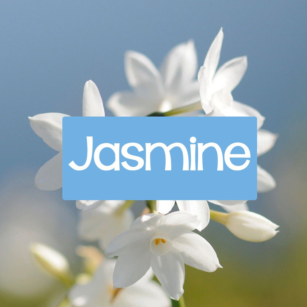 Jasmine Perfume Perfume Spray Body Spray Perfume Roll On