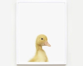 Baby Animal Nursery Art Print. Duckling Little Darling. Animal Wall Art. Animal Nursery Decor. Baby Animal Photo.
