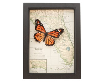 Vintage Map of Florida with Monarch Butterfly
