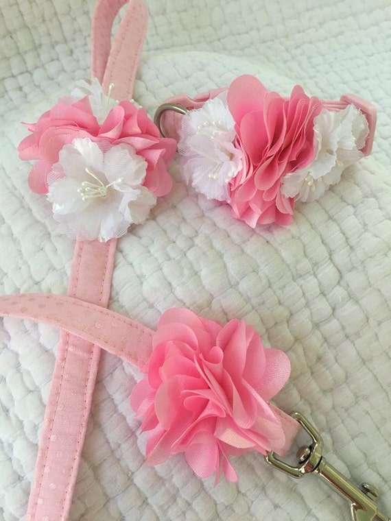 Wedding Dog Leash and Collar Set