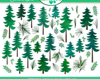 Evergreen Watercolor Clipart