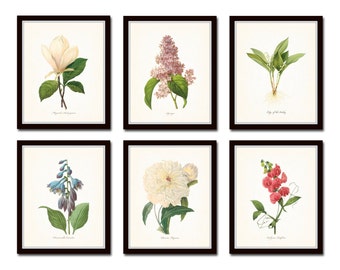 French Botanical Collage Print Set No. 3 by BelleBotanica on Etsy