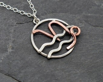 Capricorn Aquarius combined zodiac necklace sterling silver