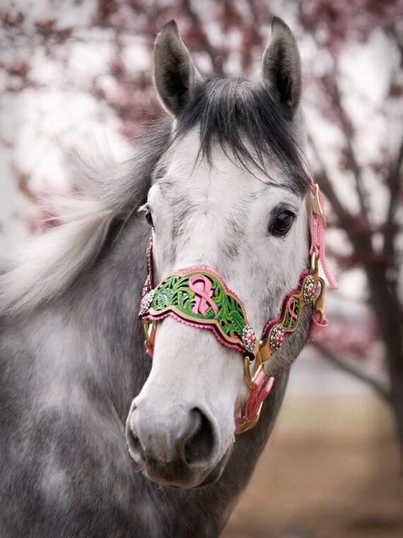Items similar to Custom tooled leather horse halter on Etsy