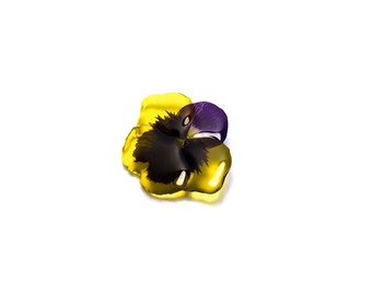 Yellow pansy brooch. Comes in a gift box.