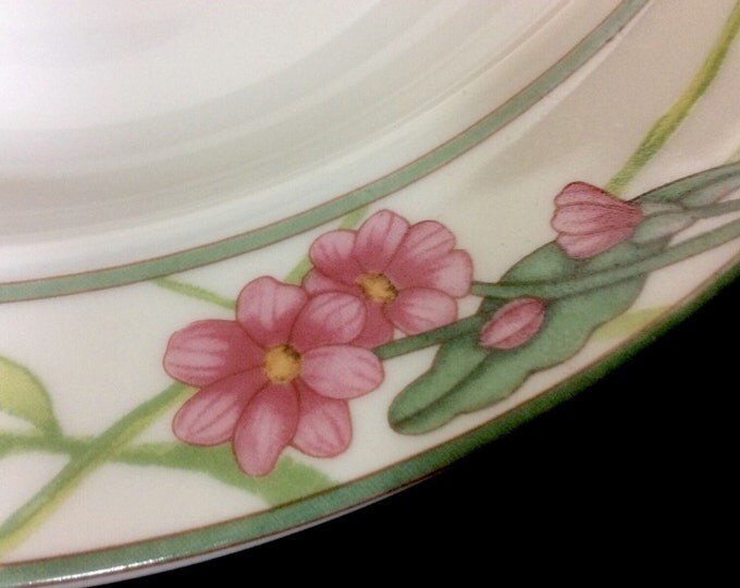 Dansk Rim Soup Bowl Cafe Floral Pattern 8 3/4 Inches With Multicolor Flowers On Rim, Green Bands