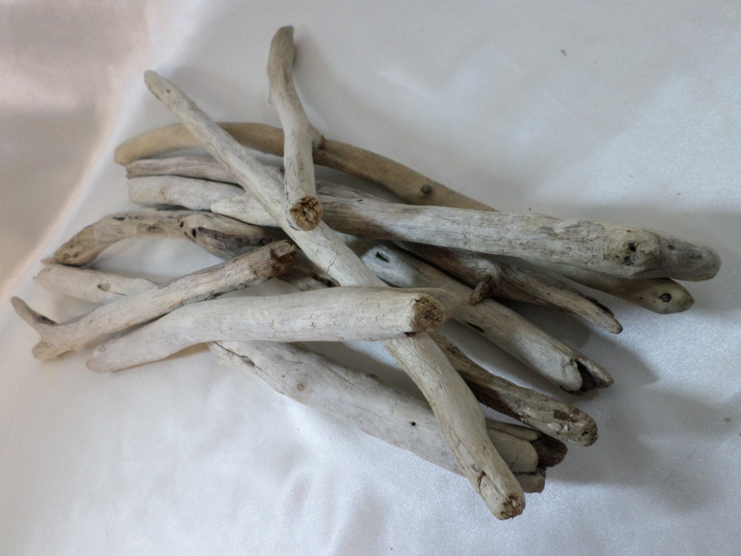 Bulk Driftwood 10 Round Driftwood Pieces Craft Supplies Beach
