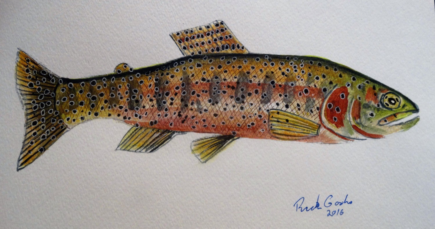 Cutthroat Trout original watercolor Trout painting fly